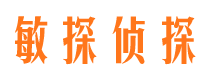 岭东市侦探调查公司